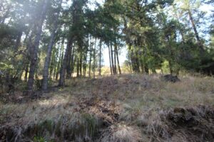 Property photo for land for sale in Yakima County Washington