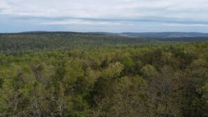 Property photo for land for sale in Pushmataha County Oklahoma