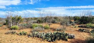 Property photo for land for sale in Coke County Texas