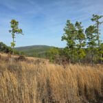 Property photo for land for sale in Le Flore County Oklahoma