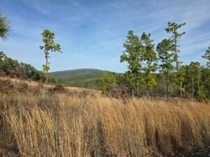 Property photo for land for sale in Le Flore County Oklahoma