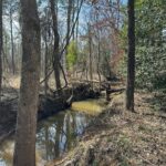 Property photo for land for sale in Cherokee County Texas