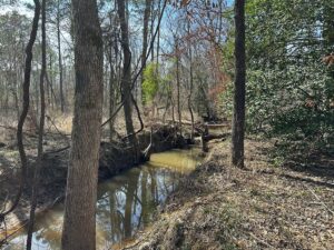 Property photo for land for sale in Cherokee County Texas