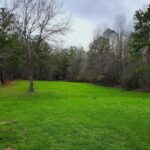 Property photo for land for sale in Macon County Alabama