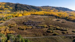 Property photo for land for sale in Montrose County Colorado