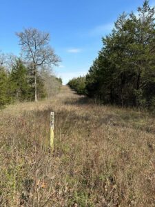 Property photo for land for sale in McCurtain County Oklahoma