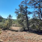 Property photo for land for sale in Yavapai County Arizona