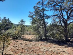 Property photo for land for sale in Yavapai County Arizona