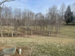 Property photo for land for sale in Clinton County Kentucky