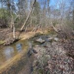 Property photo for land for sale in Mecklenburg County Virginia