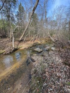 Property photo for land for sale in Mecklenburg County Virginia