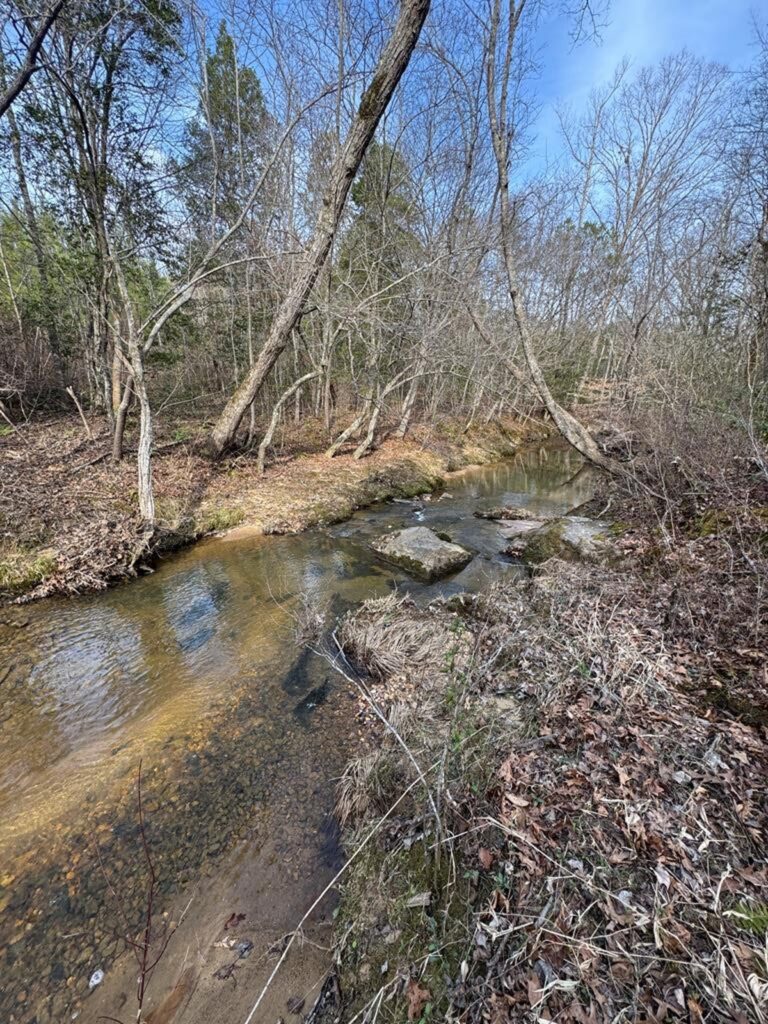 Property photo for land for sale in Mecklenburg County Virginia