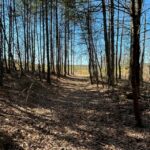 Property photo for land for sale in Sequatchie County Tennessee