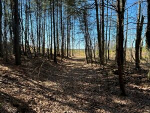 Property photo for land for sale in Sequatchie County Tennessee