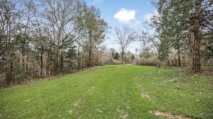 Property photo for land for sale in Wilkinson County Mississippi