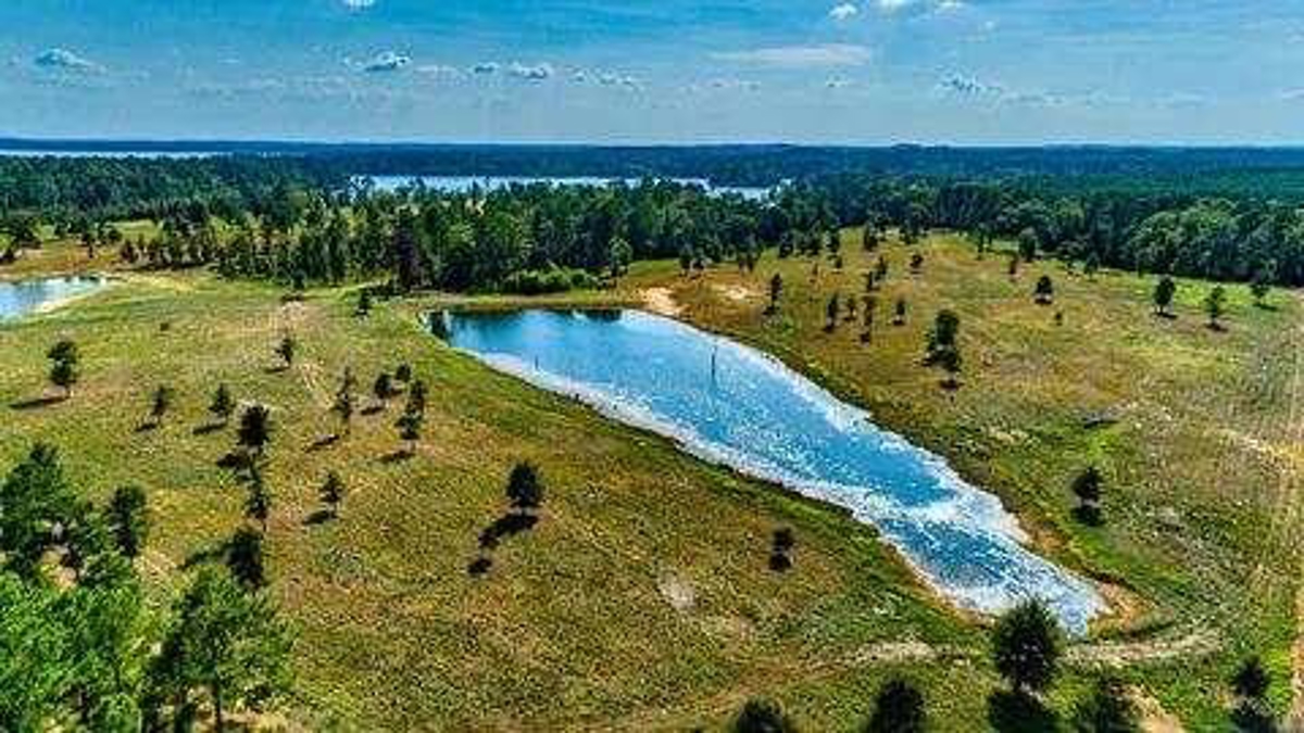 Property photo for land for sale in Marion County Texas