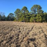 Property photo for land for sale in Pushmataha County Oklahoma