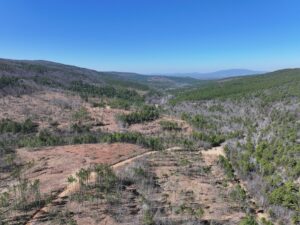 Property photo for land for sale in Le Flore County Oklahoma