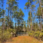 Property photo for land for sale in Levy County Florida