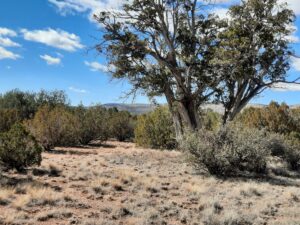 Property photo for land for sale in Yavapai County Arizona