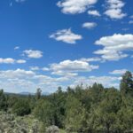 Property photo for land for sale in Rio Arriba County New Mexico