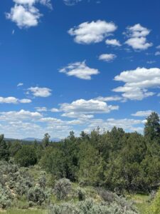 Property photo for land for sale in Rio Arriba County New Mexico