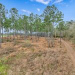 Property photo for land for sale in Mitchell County Georgia