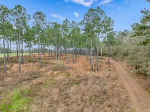 Property photo for land for sale in Mitchell County Georgia