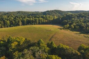 Property photo for land for sale in Floyd County Virginia