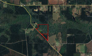 Property photo for land for sale in Evangeline County Louisiana