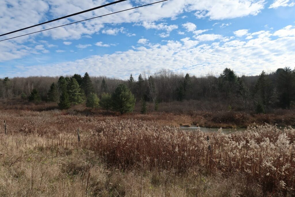 Property photo for land for sale in Chenango County New York