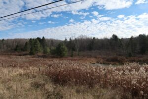 Property photo for land for sale in Chenango County New York