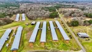 Property photo for land for sale in Lincoln County Louisiana