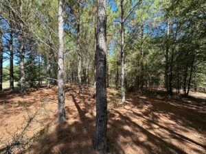 Property photo for land for sale in Crenshaw County Alabama