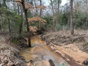 Property photo for land for sale in Cherokee County Texas