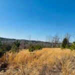 Property photo for land for sale in Izard County Arkansas