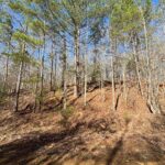 Property photo for land for sale in Hardeman County Tennessee