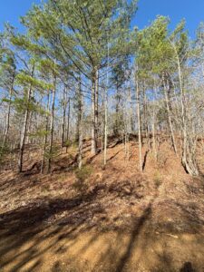 Property photo for land for sale in Hardeman County Tennessee