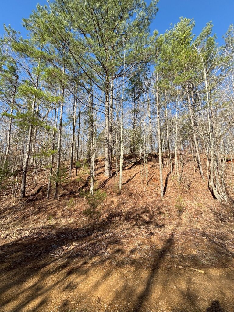 Property photo for land for sale in Hardeman County Tennessee