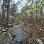 Property photo for land for sale in Le Flore County Oklahoma