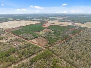 Property photo for land for sale in Mitchell County Georgia