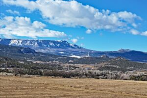 Property photo for land for sale in Mesa County Colorado