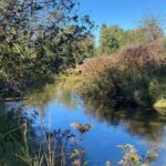 Property photo for land for sale in Montmorency County Michigan