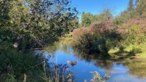 Property photo for land for sale in Montmorency County Michigan