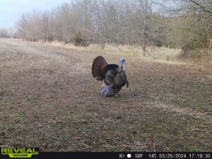 Property photo for land for sale in Harrison County Missouri