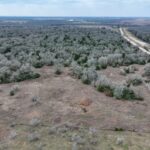 Property photo for land for sale in Lee County Texas