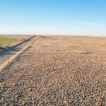 Property photo for land for sale in Bailey County Texas