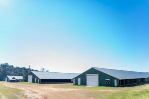 Property photo for land for sale in Lincoln County Louisiana