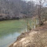 Property photo for land for sale in Stokes County North Carolina