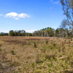 Property photo for land for sale in Alachua County Florida